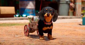 Os melhores cachorros dos games Os melhores cachorros dos games