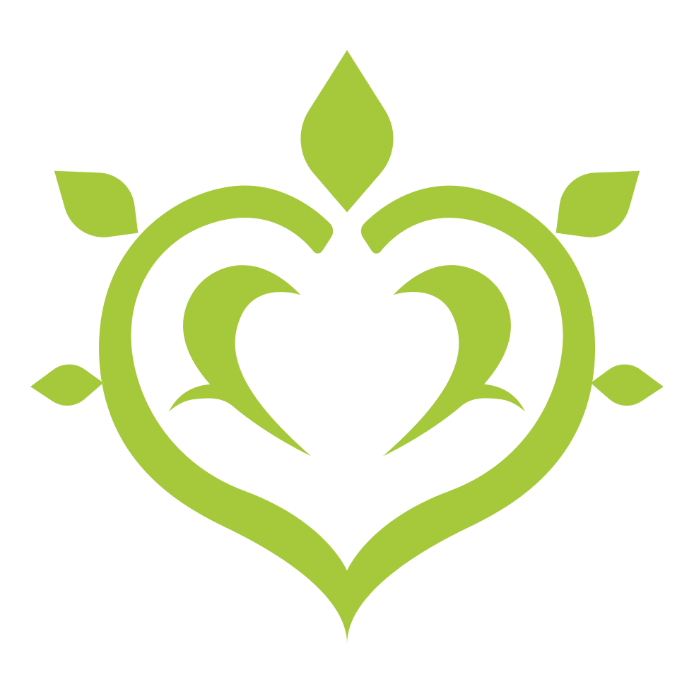 Personagens Dendro - Genshin Impact (2023)