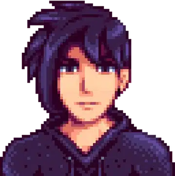 Stardew Valey Sebastian