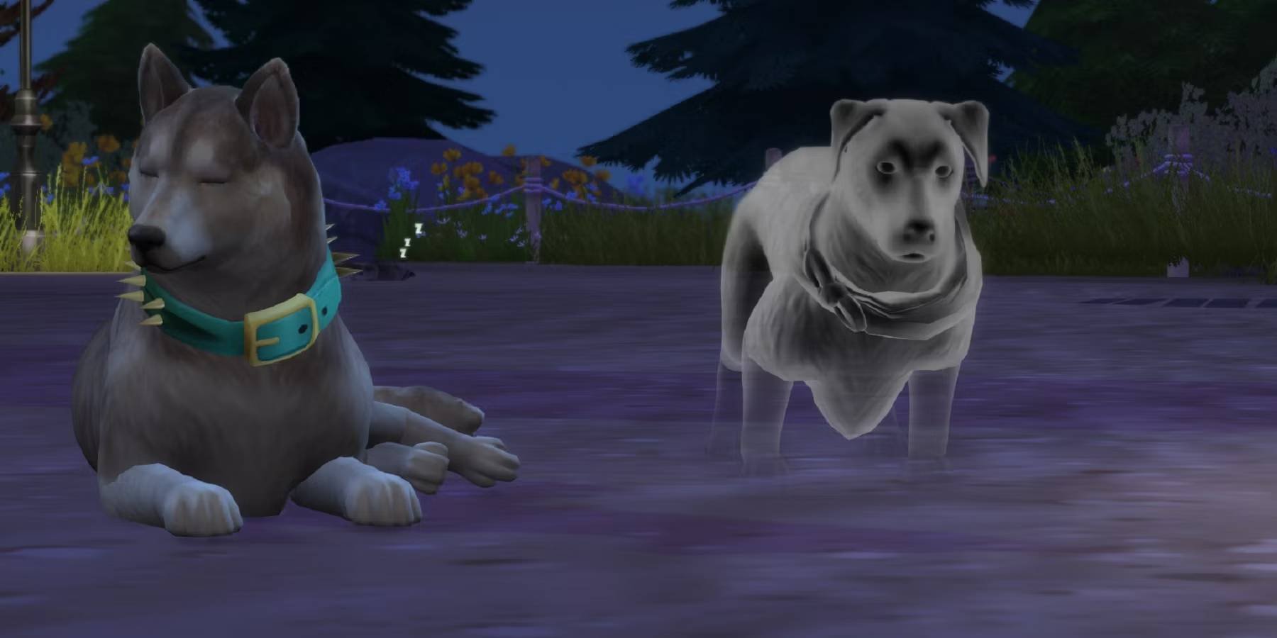 Como ter um pet no The Sims 4 Você pode convidar animais fantasmas para fazerem parte de sua família em The Sims 4. Como ter um pet no The Sims 4.