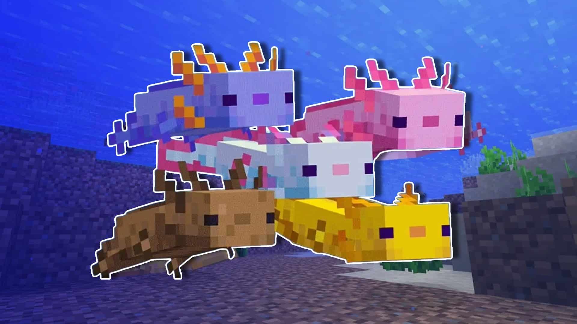 Qual é o Axolote Mais Raro do Minecraft - Clube do Vídeo Game